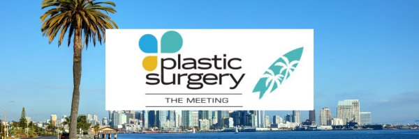 Plastic Surgery The Meeting